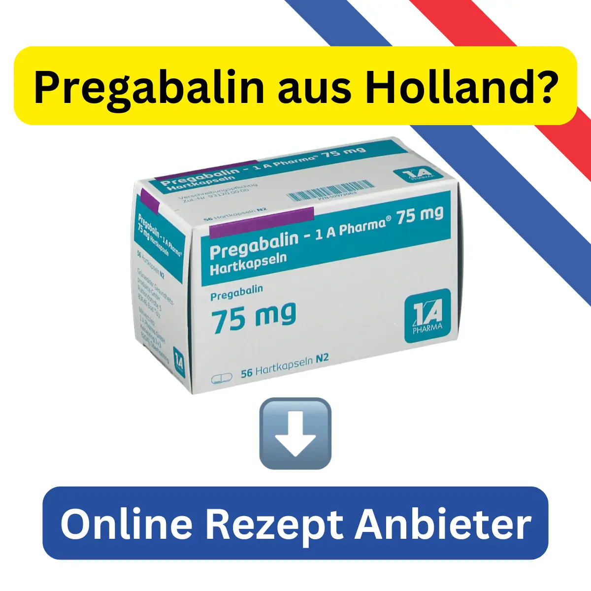 Pregabalin aus Holland