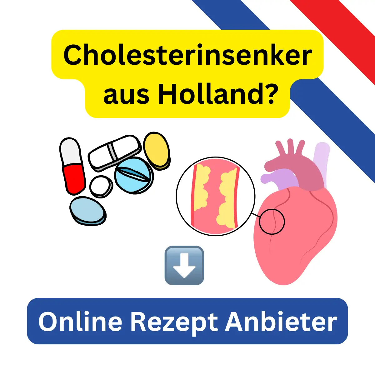 cholesterinsenker-aus-holland